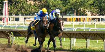 A horse race